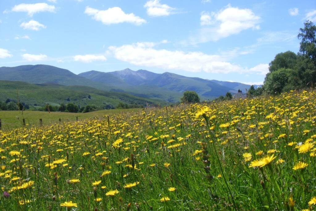 Cul Darach Lodge, Glen Roy Nature Reserve Roybridge Εξωτερικό φωτογραφία